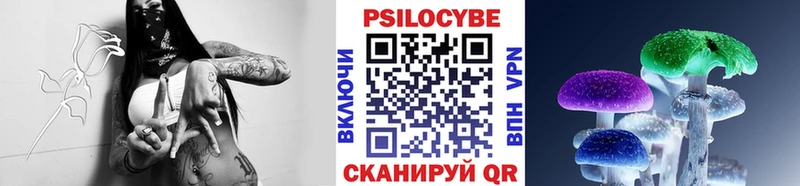 Галлюциногенные грибы прущие грибы  Купить  Камышлов 