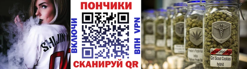 Бошки Шишки марихуана  Купить закладки  Камышлов 
